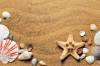plage-coquillage-etoile-mer