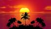 coucher-soleil-palmier